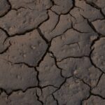 zmiany-klimatyczne-w-polsce-co-juz-widac